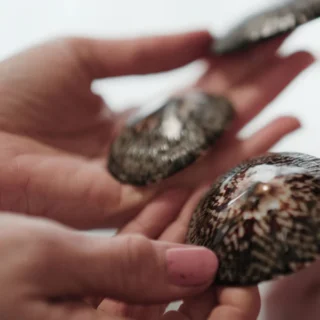 coquillages-dallaitement-en-nacre-naturelle-protege-mamelons-anti-crevasses-bebe-nacre-reutilisables-ecologiques-408011 coquillages-dallaitement-en-nacre-naturelle-protege-mamelons-anti-crevasses-bebe-nacre-reutilisables-ecologiques-408011