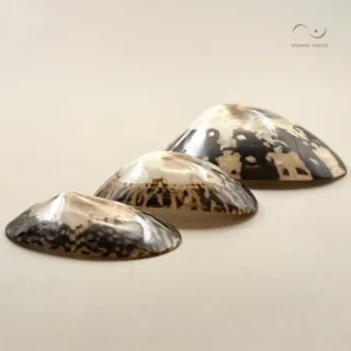 coquillages-dallaitement-sur-mesure-bebe-nacre-706711 coquillages-dallaitement-sur-mesure-bebe-nacre-706711