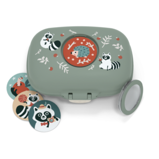 gram-raccoon-dessus - Copie