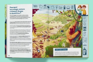 OrangOutan-05_1024x1024@2x