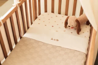 511-501-68154_4_20250612T