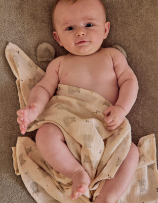 f-o-set-de-2-langes-100x100cm-mousseline_1200_1200-2583965