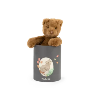 Poupee_ours_Arthur_en_boite_Arthur_et_Louison_Moulin_Roty