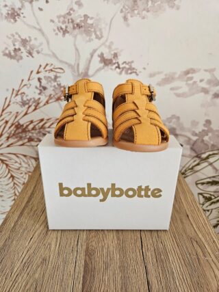 WhatsApp Image 2026-01-28 at 13.17.52