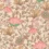 minikane-motif-pe2026-coton-indienne-rosee