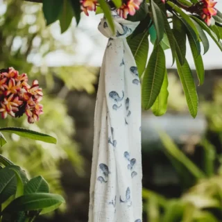 1813-Petit-Lange-Baleines-Bleues-4