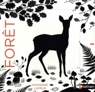 9782092497067-475x500-1